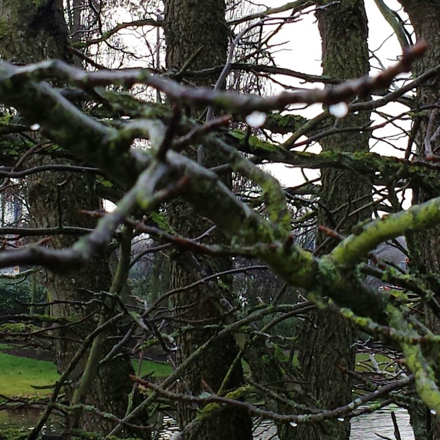 IMG_20150225_111324.jpg image