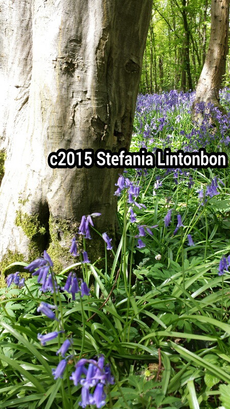 14302315608024-picsay.jpg image