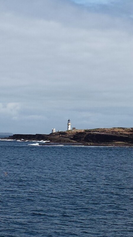 14979939659823.jpg image